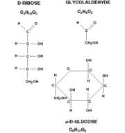 murchison  CM2 spojeviSecera_260.jpg